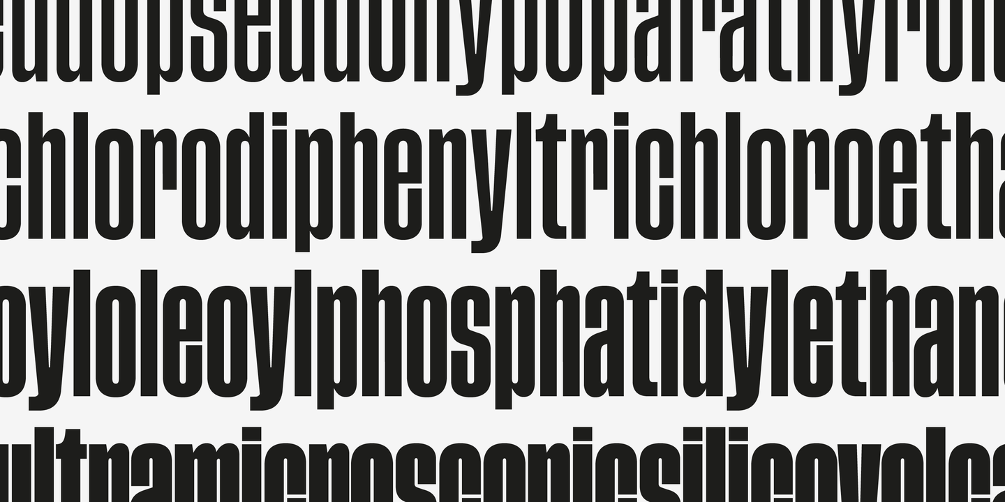 Beispiel einer Tusker Grotesk 4600 Semibold-Schriftart